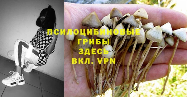 mdpv Балахна