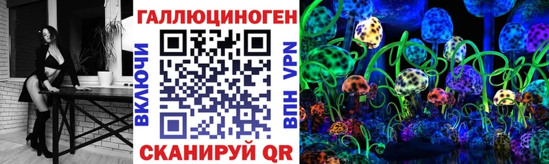 Галлюциногенные грибы Psilocybine cubensis Верхнеуральск